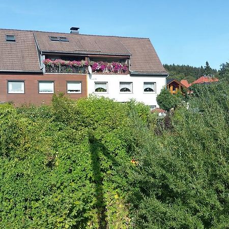 Apartment Bodeweg Schierke Exteriör bild